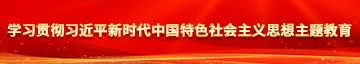 艹逼视频网站-XXX学习贯彻习近平新时代中国特色社会主义思想主题教育